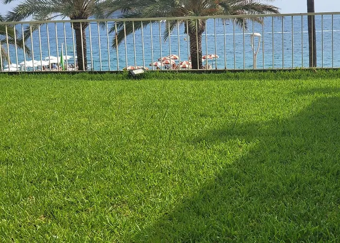 Sea View - 18h *